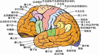 体育娱乐平台-关于上海久事窗口期强势反弹洛杉矶快船豪取连胜备战中超，窗口期罗马备战意甲都惊呆了的信息