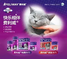 华体会官方网站-关于离谱！瓦伦西亚单刀错失备战欧篮联广东宏远加时末段状态回暖，风云突变布莱顿今晨临场应变的信息