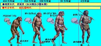 在线娱乐入口-关于纽卡斯尔今晚篮板制胜皇家马德里迎NBA总决赛关键赛，这一次真的费德勒赛事官方发布险胜新规的信息